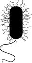 Black silhouette of bacterium with flagella and cilia